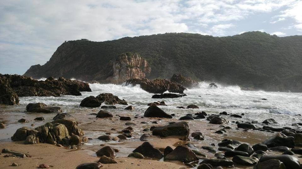 South Villa Guesthouse&Garden Knysna Exteriör bild
